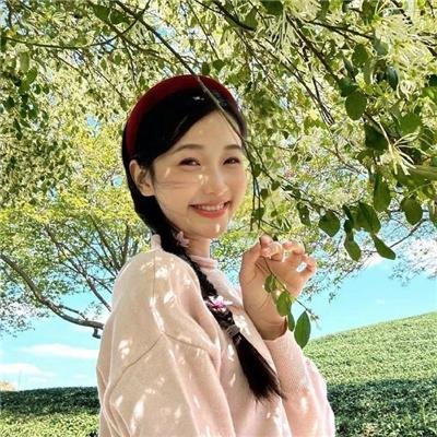 宝琳历险记